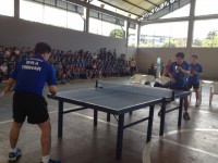/album/apresenta%c3%a7%c3%a3o-em-escola-de-manaus/a967347-659445234083143-1555599742-n-jpg/